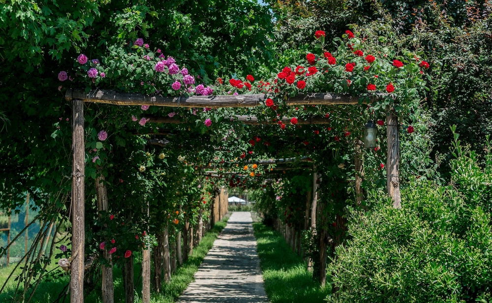 שטחי חוץ / גן