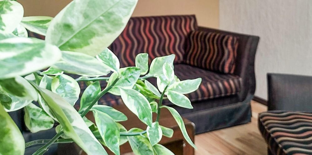 Hotel Terranova Zona Piel in Leon De Los Aldama, Mexico