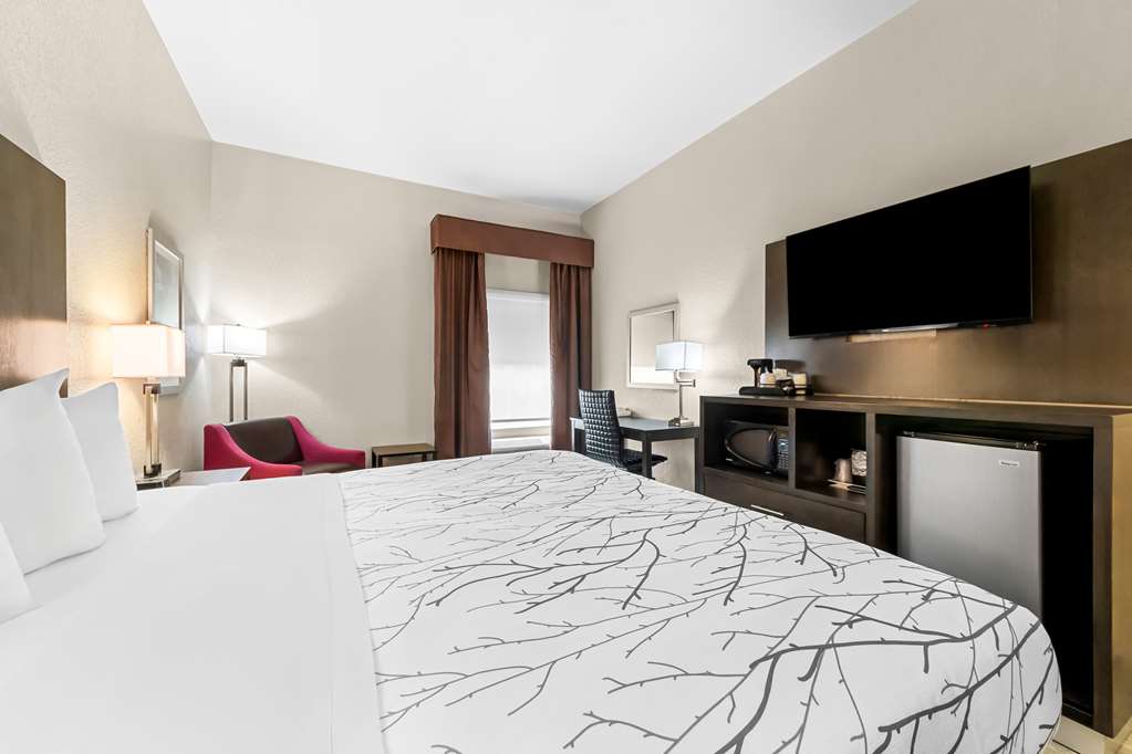 Best Western Boerne Inn & Suites - photo 14