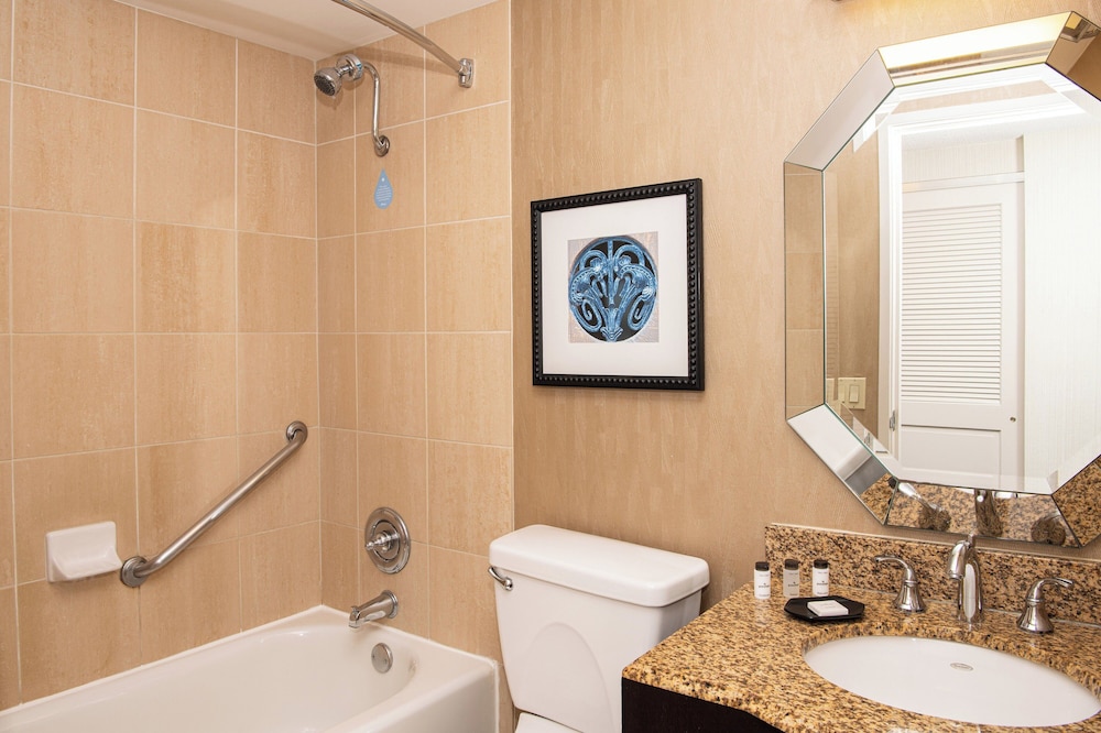 Sheraton Mission Valley San Diego Hotel - photo 67