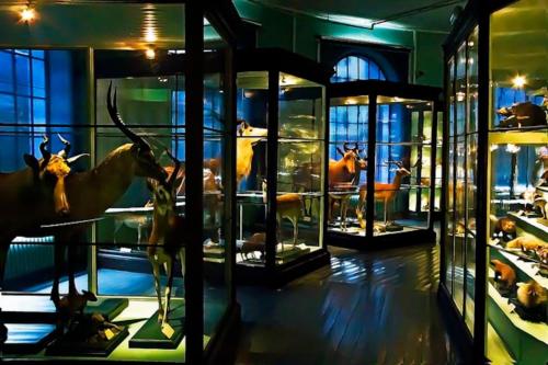 Spacious historical art oasis in the city center — 4-Star Luxury Hotel in Bergen, Norway