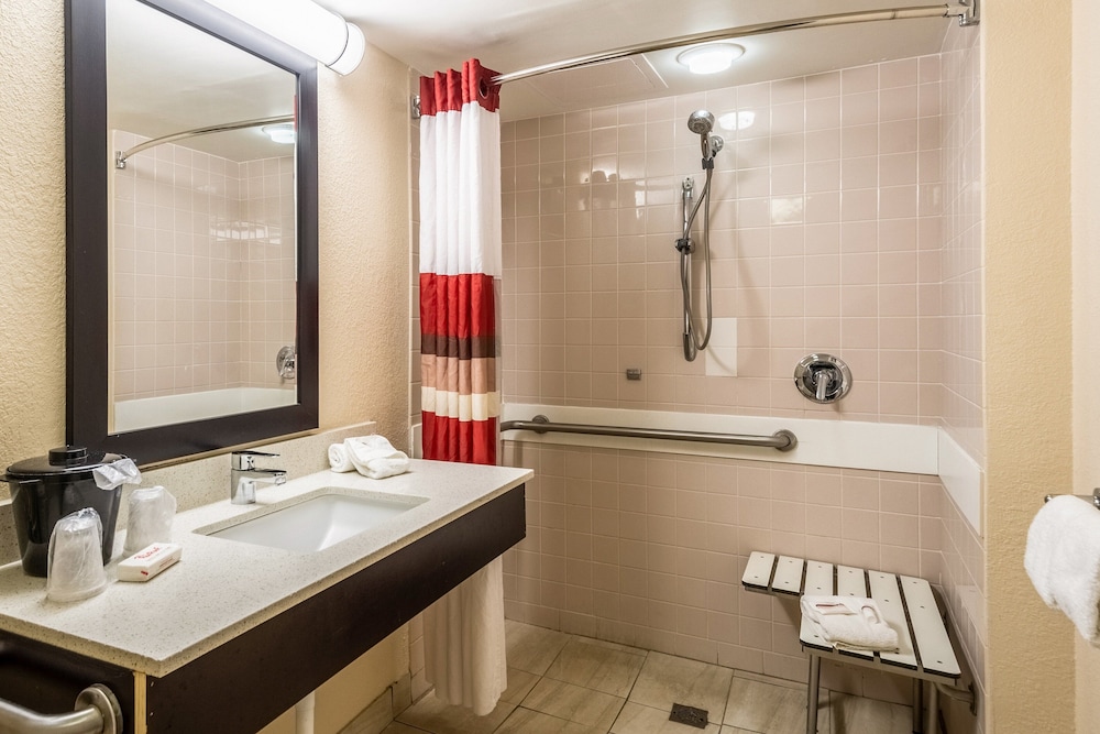 Red Roof Inn Tampa Bay St Petersburg - photo 21