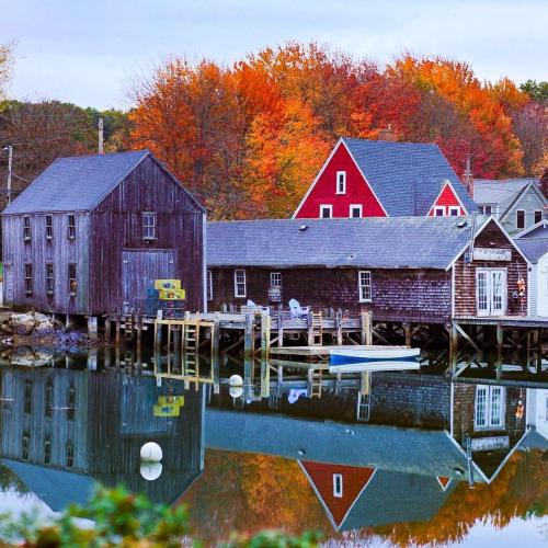 Salt Life — Arundel — photo 4