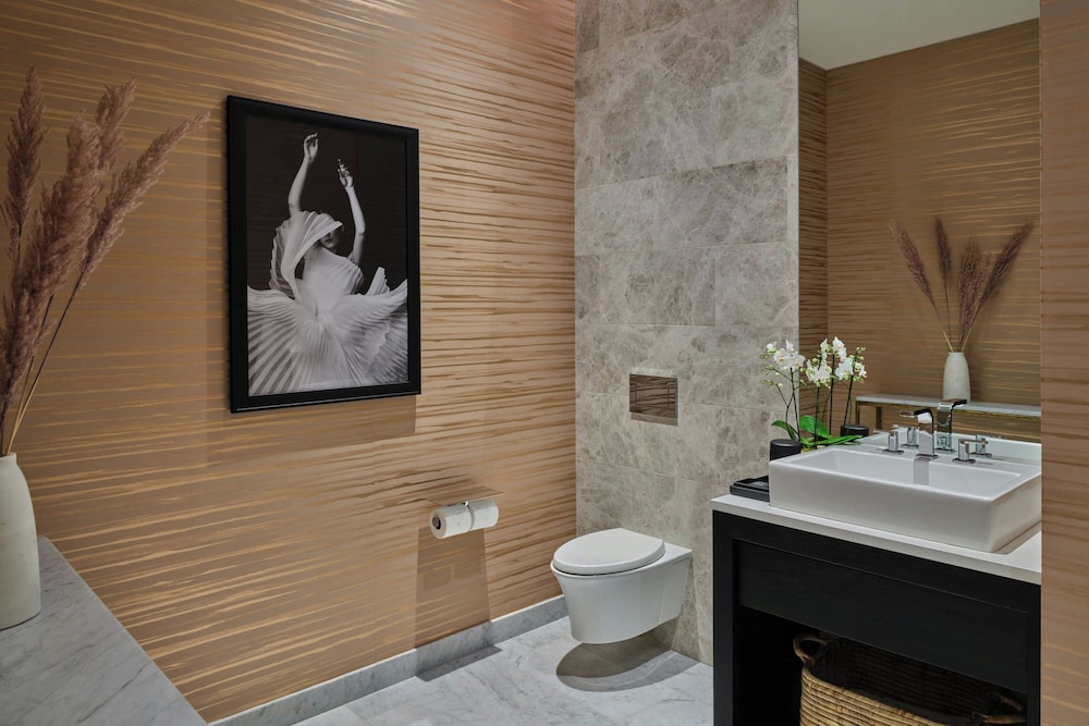 The St. Regis Chicago - photo 53