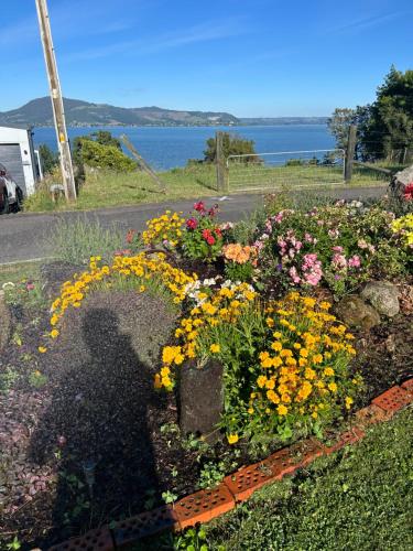 Rotorua Lakes Cottage — 4-Star Luxury Hotel in Rotorua, New Zealand