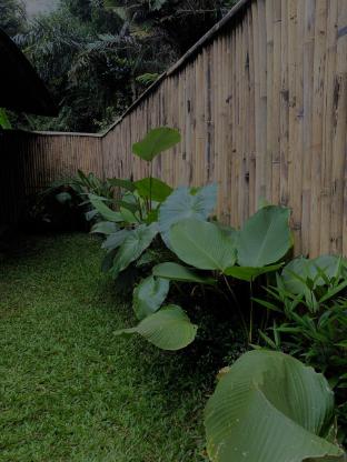 Hidden Bamboo Village — Bali — photo 3