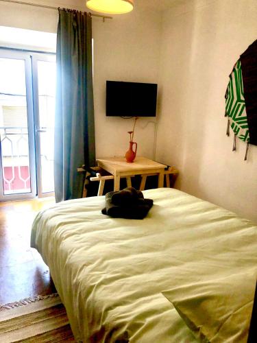 Joao`S Inn — Castelo De Vide — photo 3