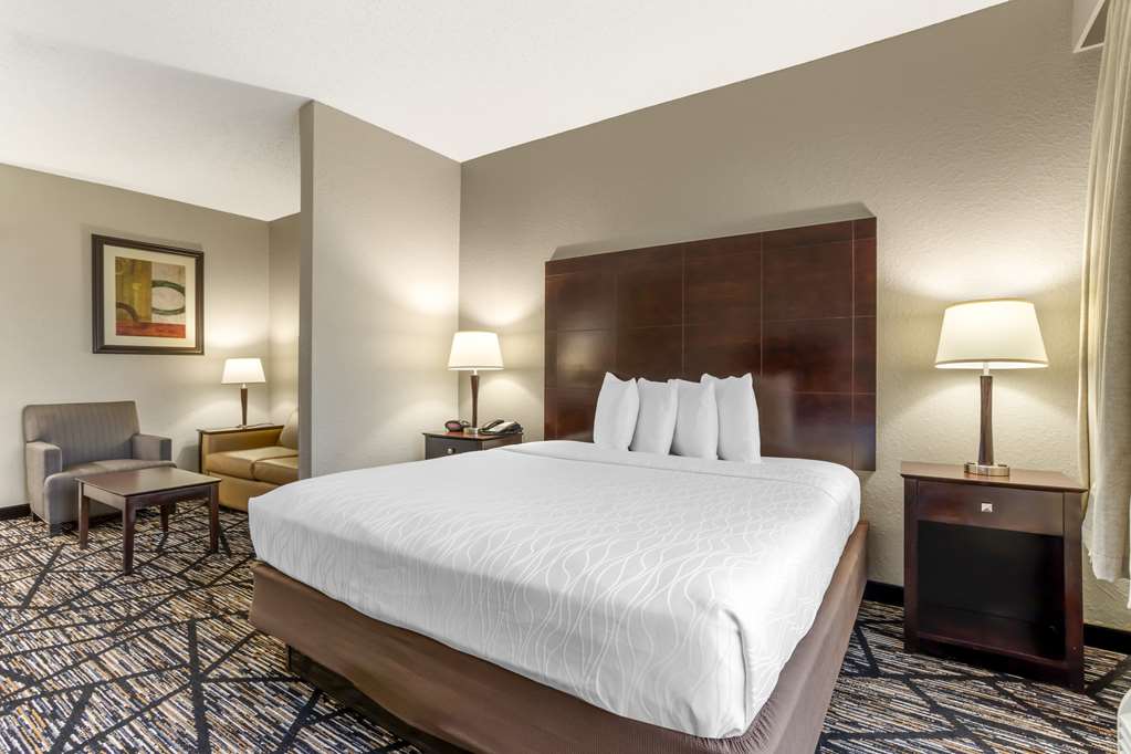 Best Western Plus Hobby Airport Inn & Suites - photo 17