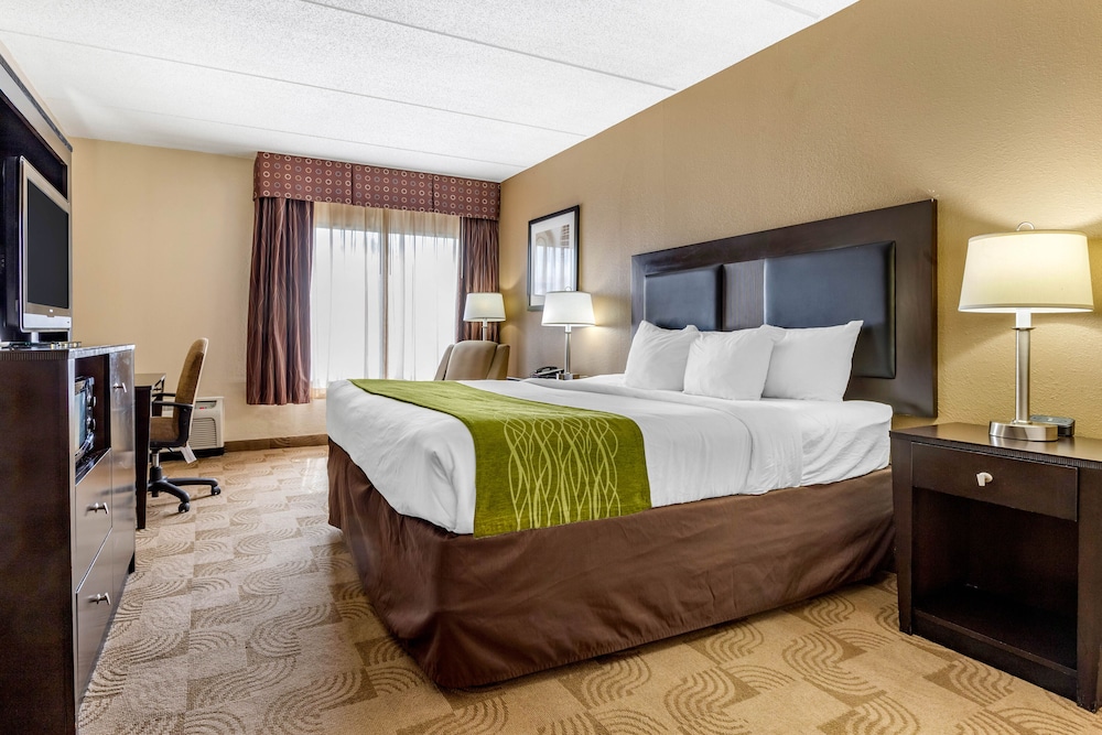 Comfort Inn Warner Robins Robins Air Force Base Area - photo 8