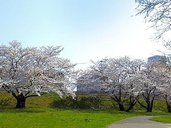 Honjo Grand Hotel — Yurihonjo — photo 2