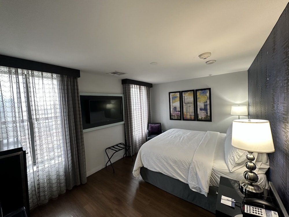 Holiday Inn Express Dallas Downtown - photo 15