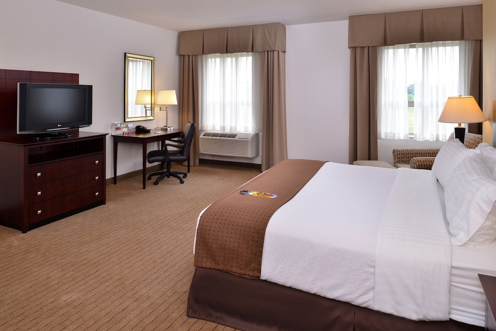 Holiday Inn Madison at The American Center by IHG - photo 18