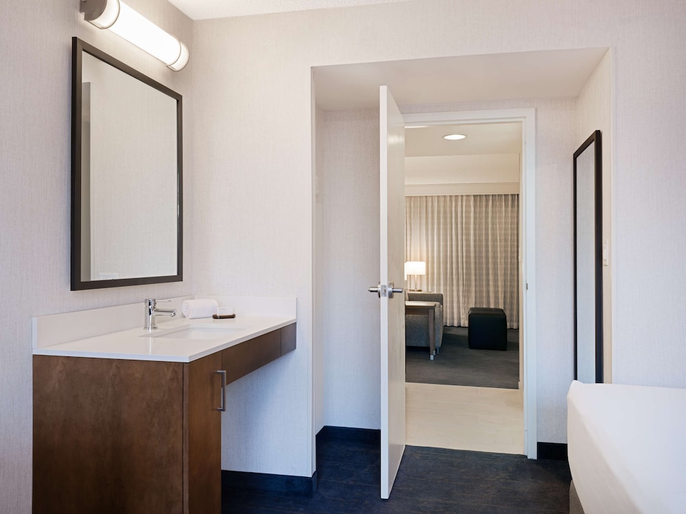 Embassy Suites by Hilton Chicago Downtown River North - photo 12