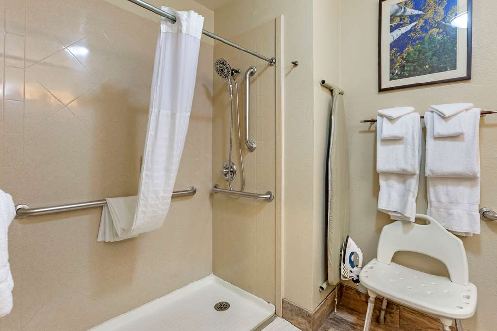 Comfort Inn Flagstaff South I 17 - photo 13