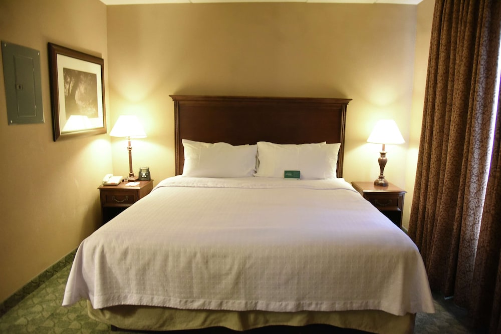 Homewood Suites by Hilton San Antonio North - photo 11