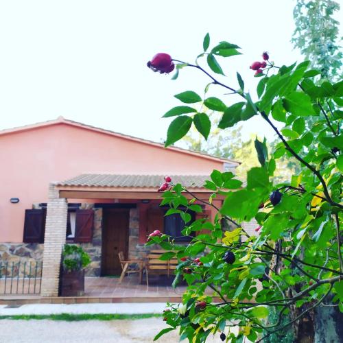 Cabañas Rural Arco Iris — carbon neutral stay, Cuenca