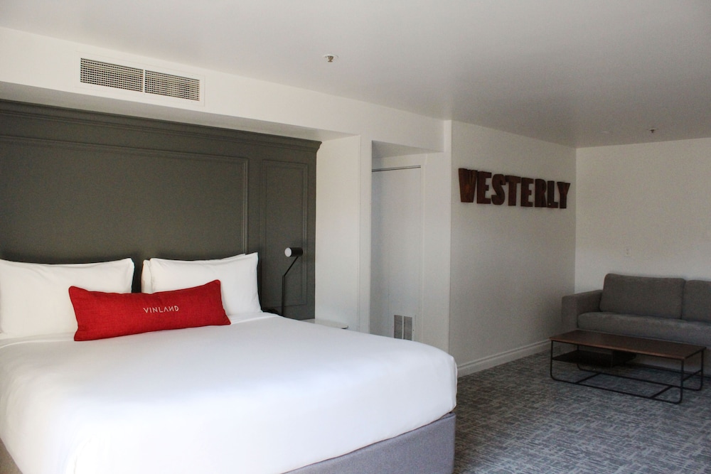 Vinland Hotel and Lounge - photo 23