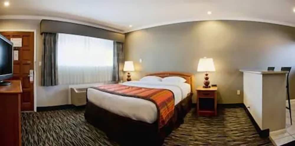 Hotel Parmani - photo 12