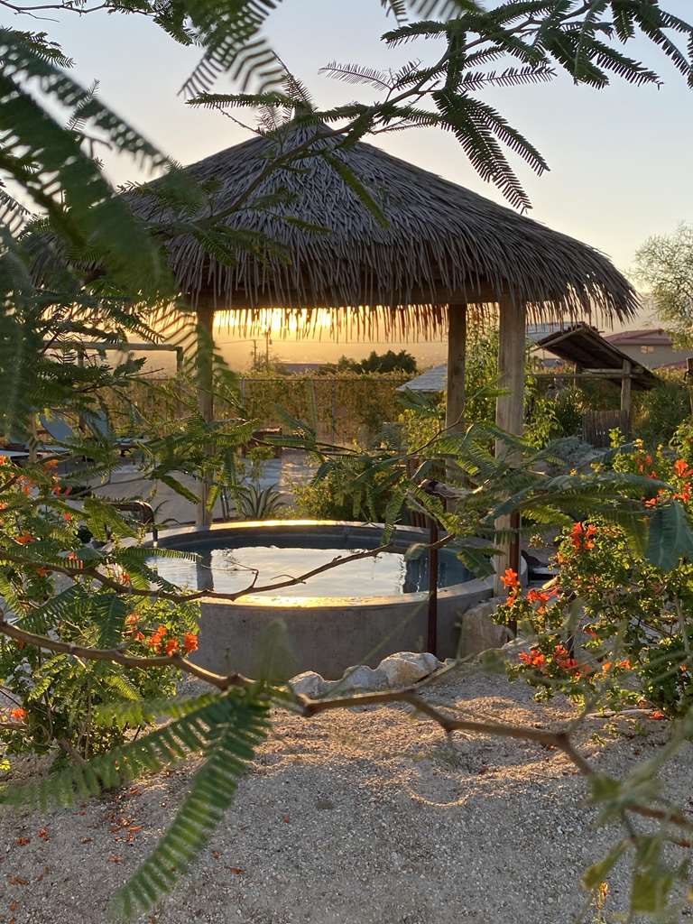 Azure Palm Hot Springs - photo 27