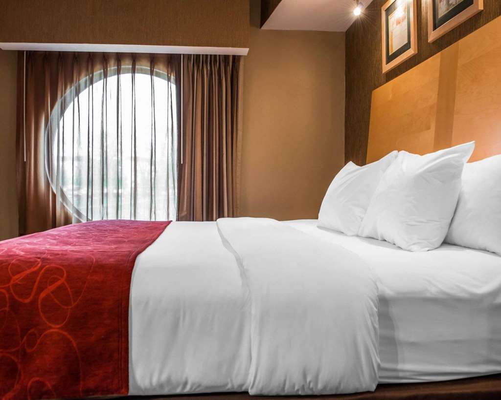 Comfort Suites Monroeville Pittsburgh East - photo 31