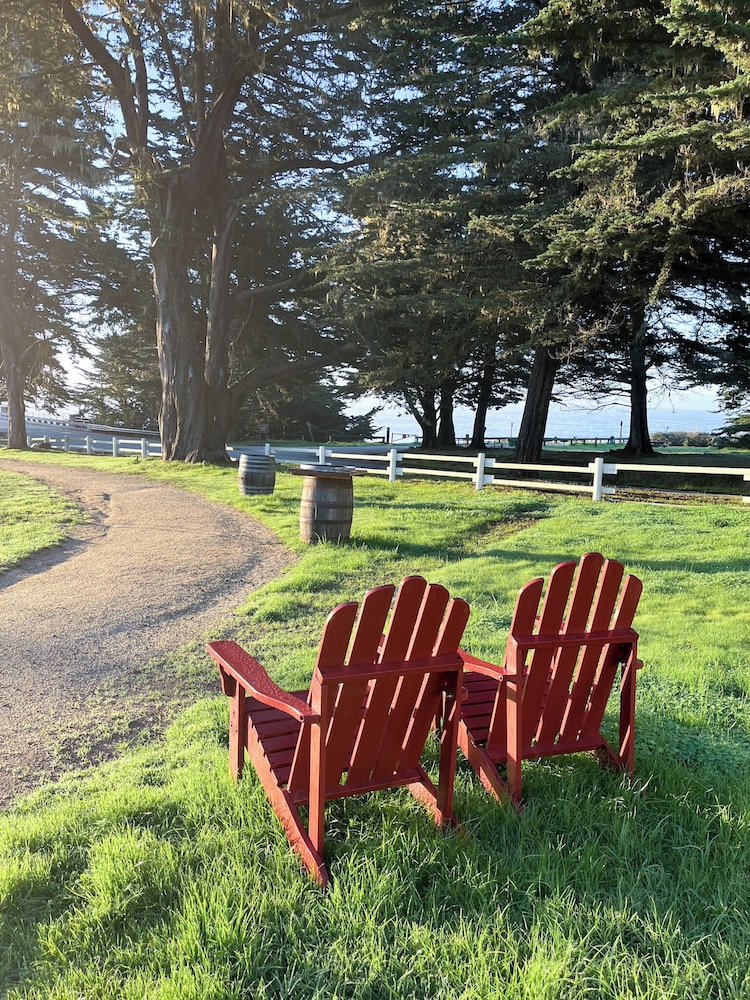 Oceanpoint Ranch - photo 65
