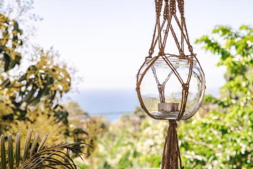 Domaine du Lion in Unknown City, Guadeloupe