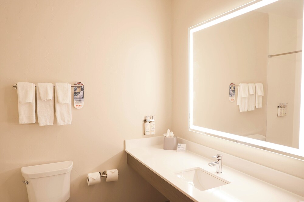 Holiday Inn Express Hotel & Suites Douglas by IHG - photo 23