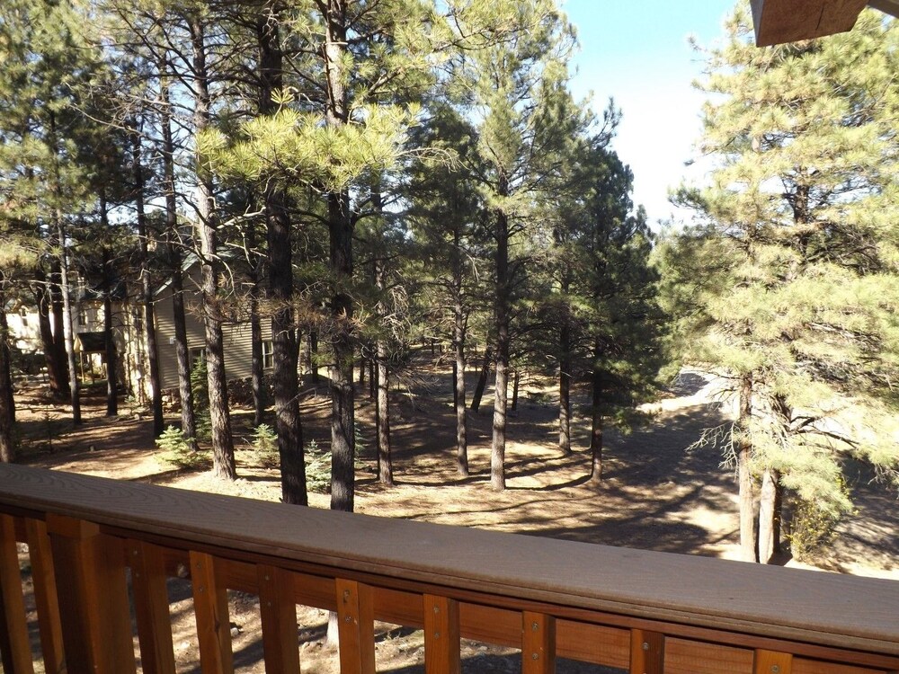 Arizona Mountain Inn and Cabins - photo 128