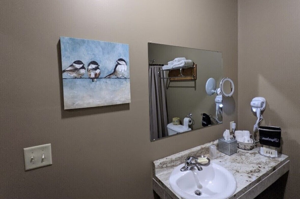 Big Horse Inn and Suites - photo 17