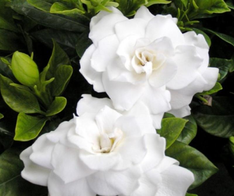 Hotel Xue Sabana in Cajica, Colombia