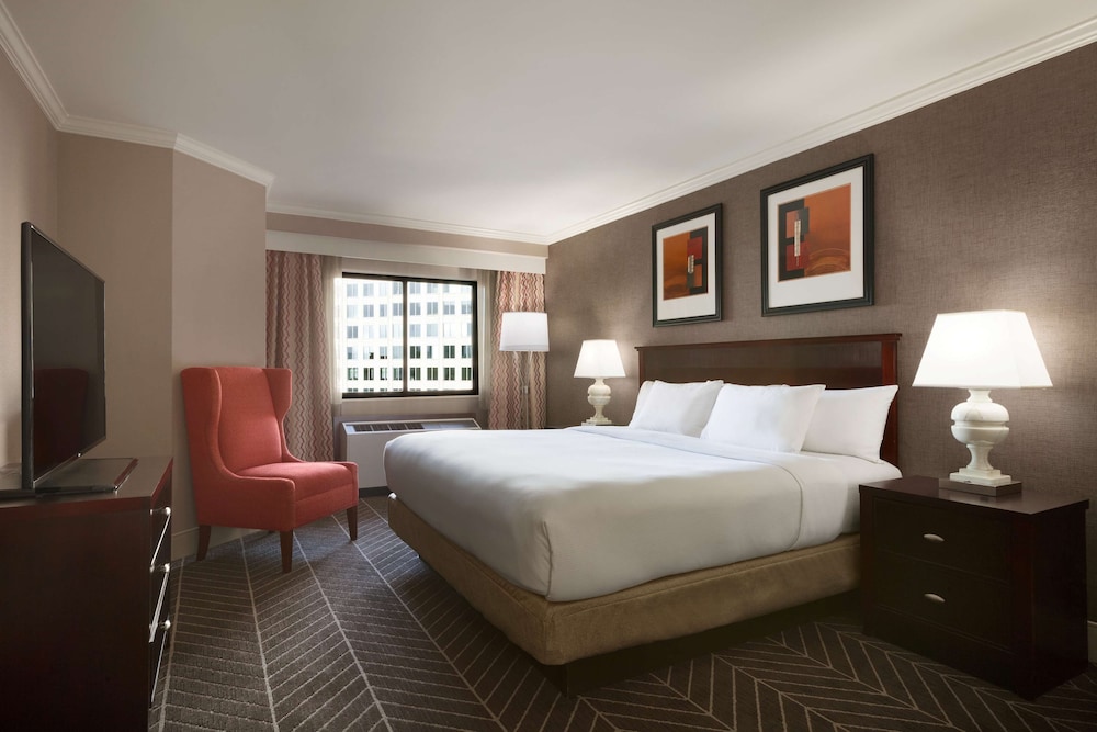 Hilton Arlington - photo 16