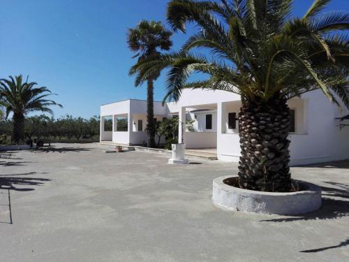 Oasi tra gli Ulivi in Carovigno, Italy