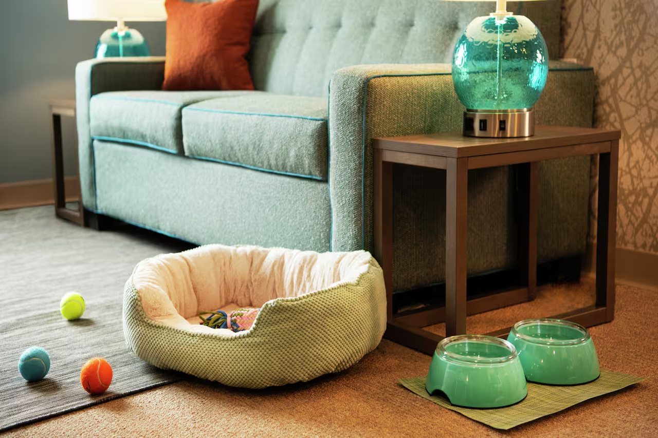 Home2 Suites by Hilton Virginia Beach Princess Anne - photo 5