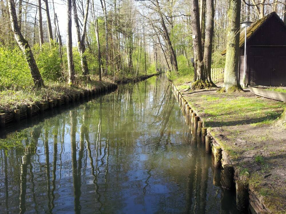 Land View from Property