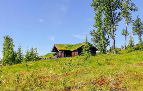 Stunning Home In Gol With Sauna — 4-Star Luxury Hotel in Gol, Norway