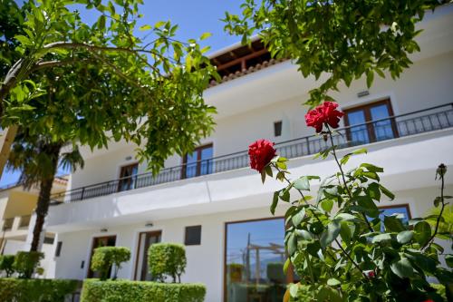 Villa Qeli — 4-Star Luxury Hotel in Gjirokaster, Albania