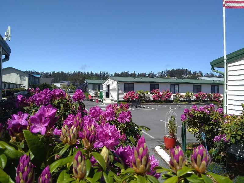 The Orca Inn - photo 33