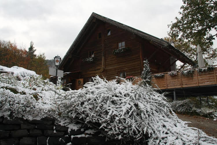 Kastanienhof Apartment Hotel - last minute hotel in Bolanden
