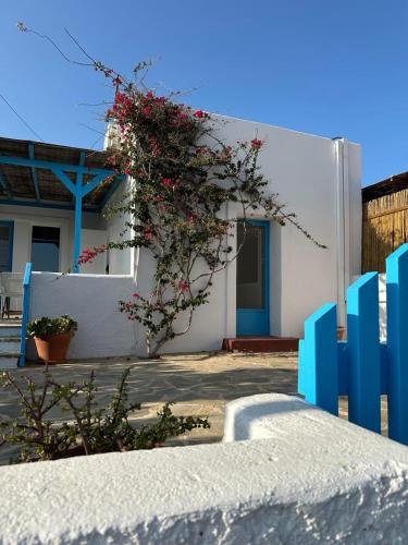 Asimina's beach house — 4-Star Luxury Hotel in Andros, Greece
