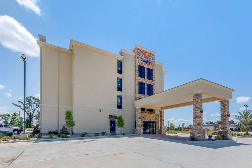 Comfort Suites West Monroe near Ike Hamilton Expo Center - photo 2