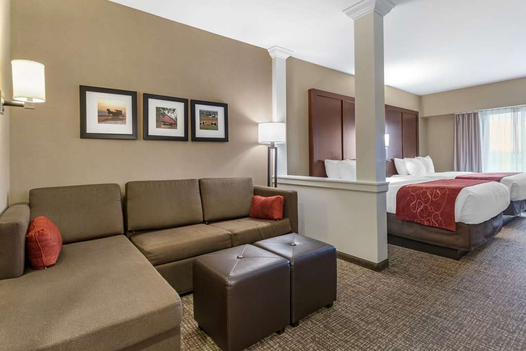Comfort Suites Manheim Lancaster - photo 21