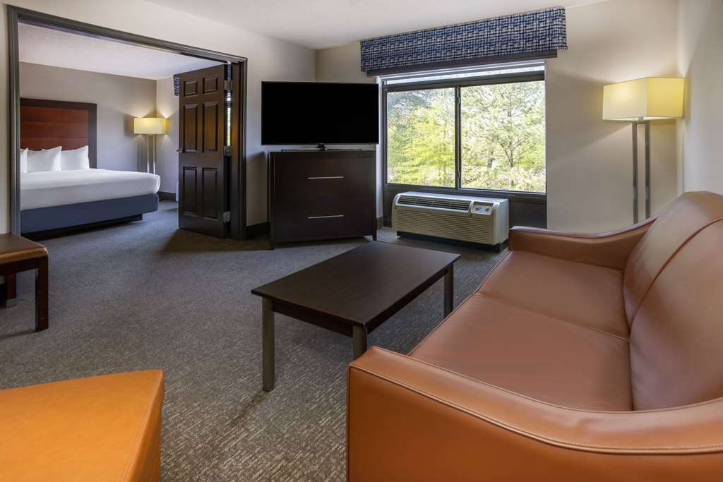 Wingate by Wyndham Atlanta Galleria Ballpark - photo 23