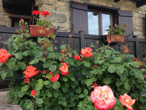 Dimora tra le Alpi cir n 0004 — hotel in Introd