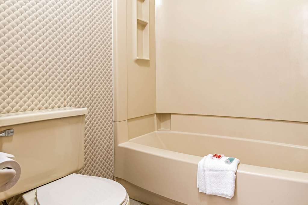 Econo Lodge Holland Toledo - photo 27