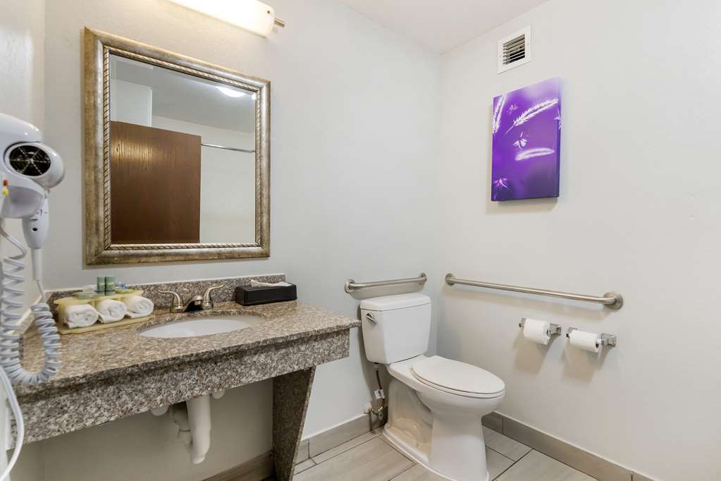 Best Western Medical Center North Inn & Suites Near Six Flags - photo 40