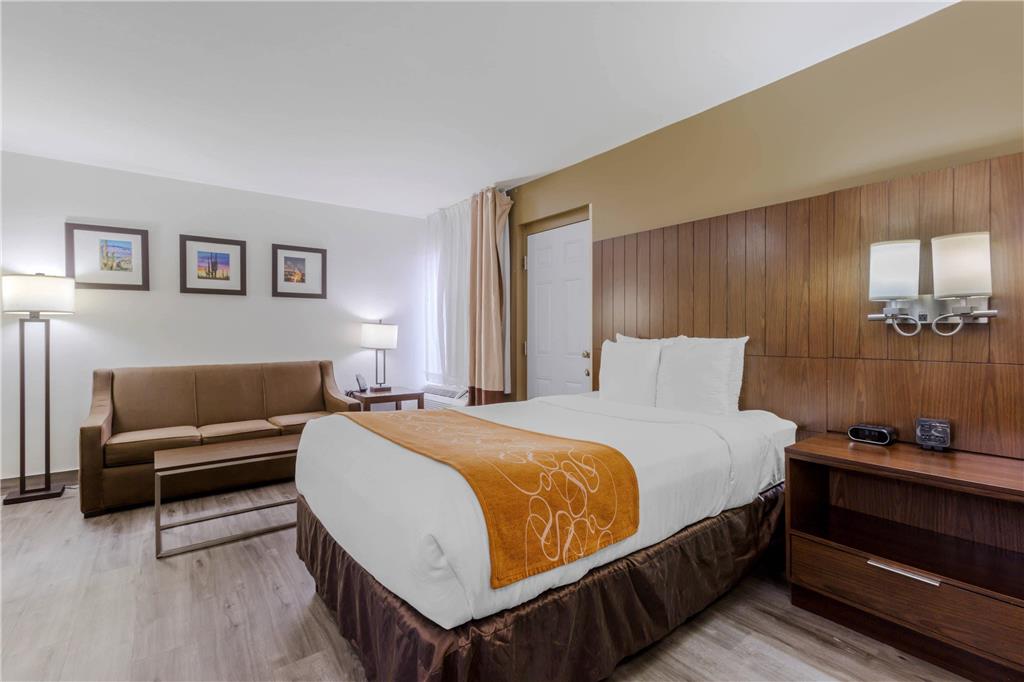 Comfort Suites Tucson near Sabino Canyon - photo 25