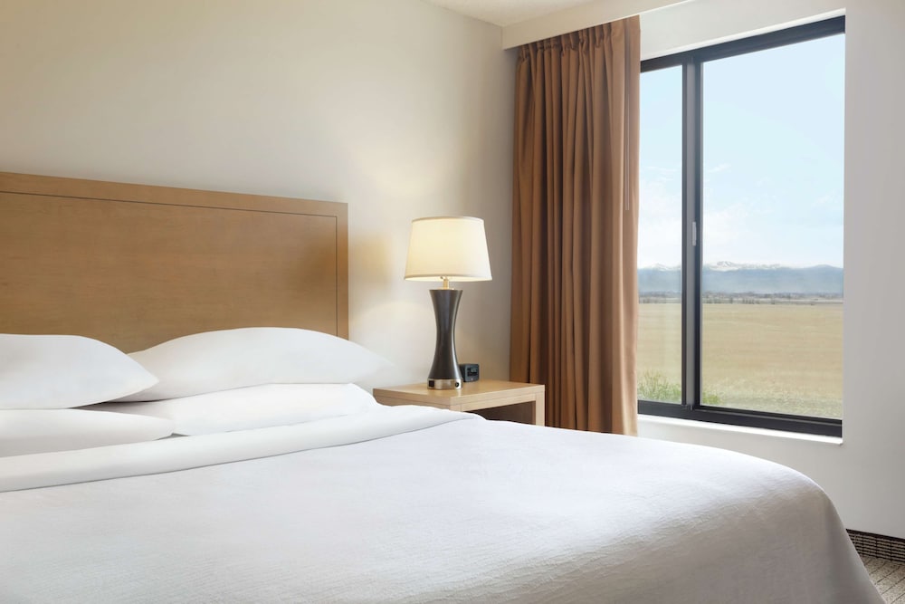 Embassy Suites by Hilton Denver International Airport - photo 25