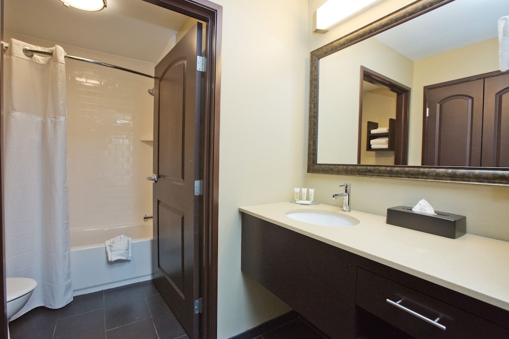 Staybridge Suites Austin South Interstate Hwy 35 by IHG - photo 7