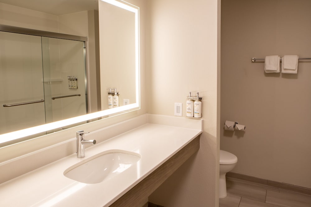 Holiday Inn Express & Suites Sioux City Southern Hills by IHG - photo 39