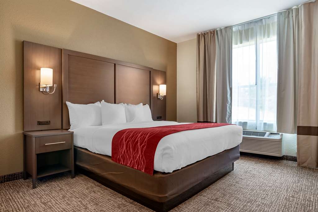 Comfort Inn & Suites Millbrook Prattville - photo 20